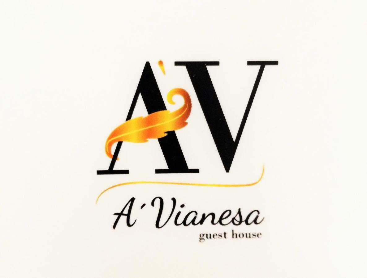 A Vianesa - Guest House Viana do Castelo Extérieur photo